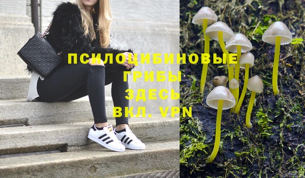винт Алексеевка