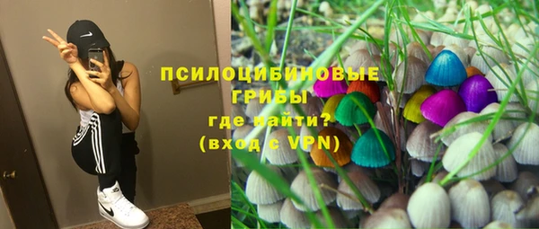 гашик Алзамай